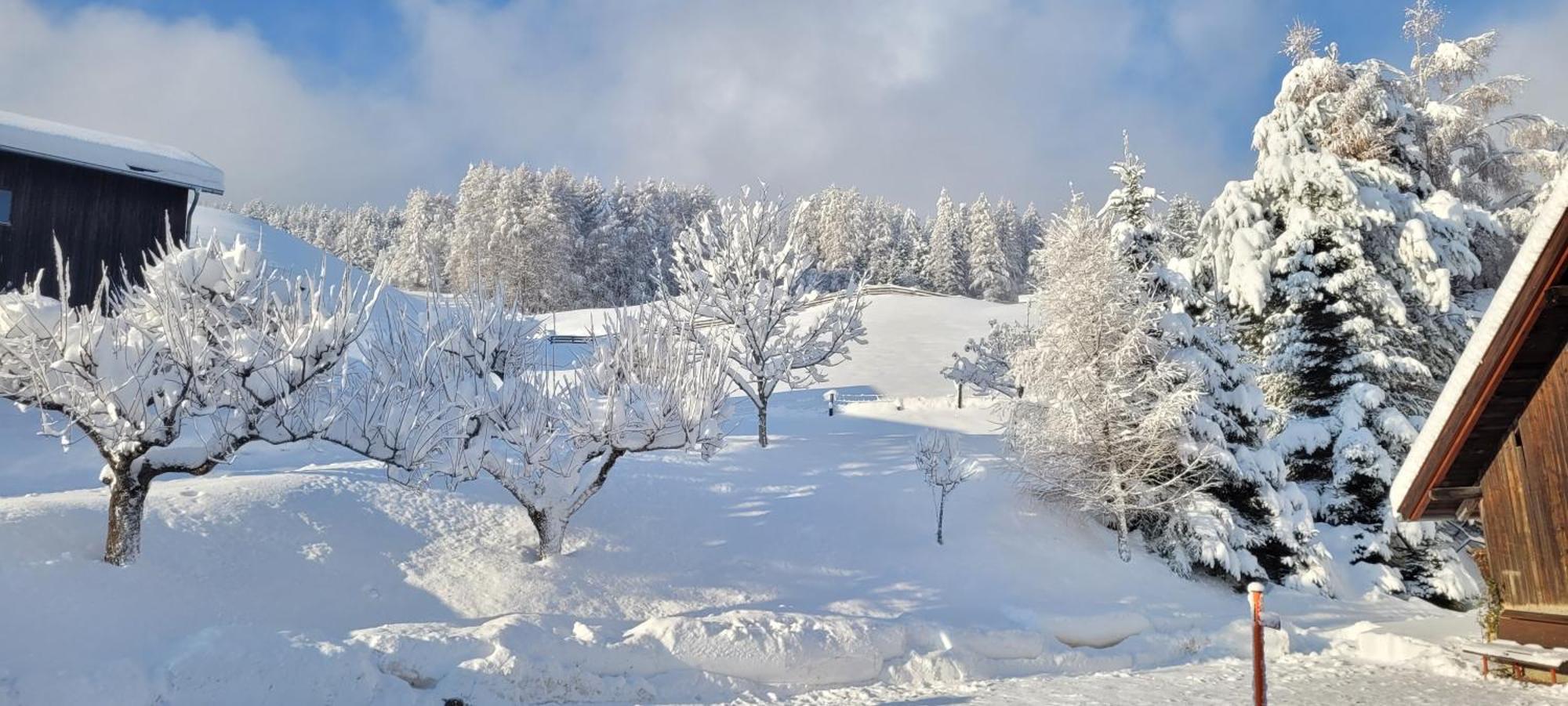 Ferienhaus Panorama Mutters Bagian luar foto